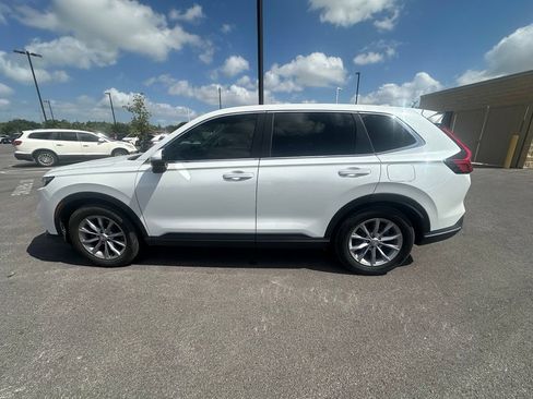 Used 2025 Honda CR-V EX-L image 6