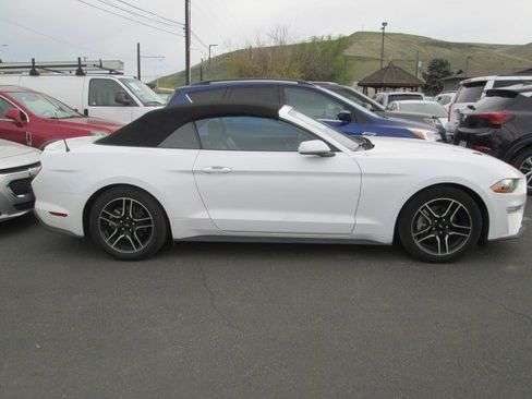 Used 2023 Ford Mustang Premium image 5