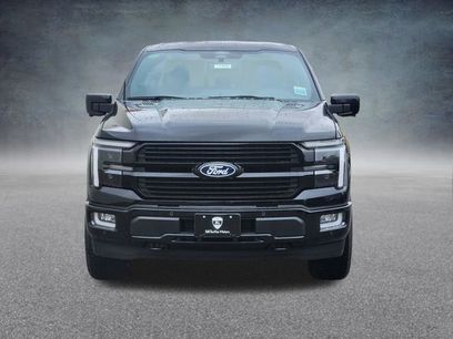 New 2026 Ford F150 Platinum