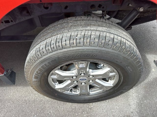 Used 2023 Ford F150 XLT w/ Equipment Group 302A High AWD/4WD image 10