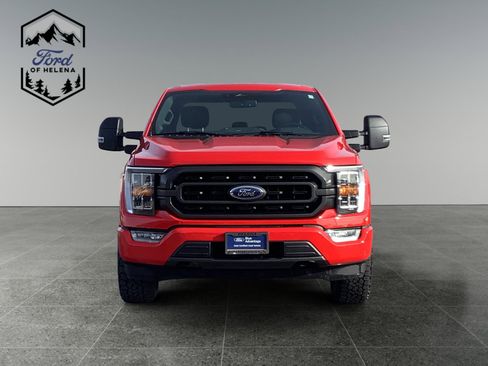 Certified 2021 Ford F150 XLT w/ Equipment Group 302A High image 8