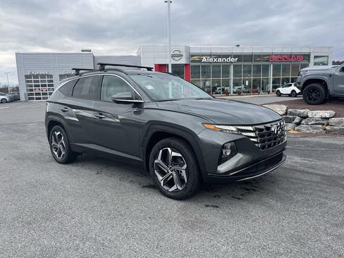 Used 2024 Hyundai Tucson Limited image 1