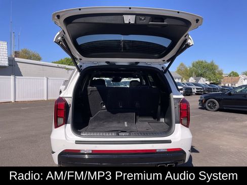 Used 2024 Hyundai Palisade Calligraphy AWD/4WD image 14
