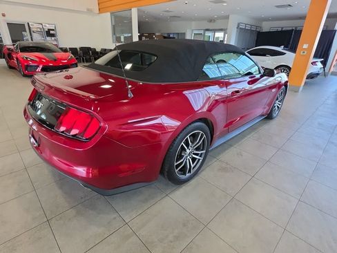 Used 2017 Ford Mustang GT Premium w/ Equipment Group 401A RWD image 7