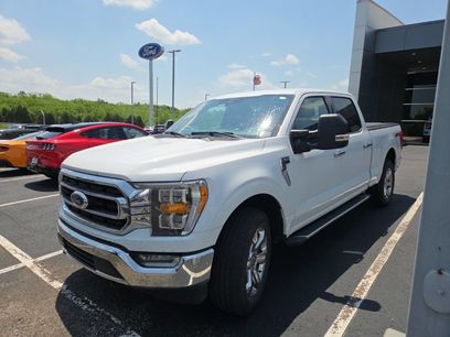 Used 2023 Ford F150 XLT w/ Equipment Group 302A High