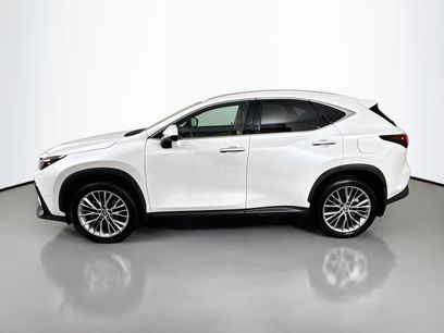 Used 2025 Lexus NX 350 AWD w/ Cold Area Package