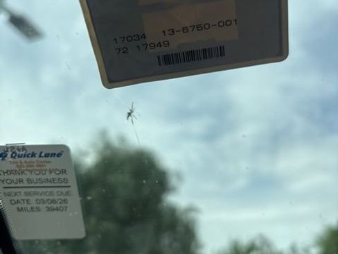 Used 2022 Ford F150 Lariat w/ Equipment Group 502A High image 19