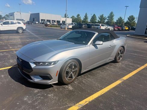 Used 2024 Ford Mustang Premium RWD image 2