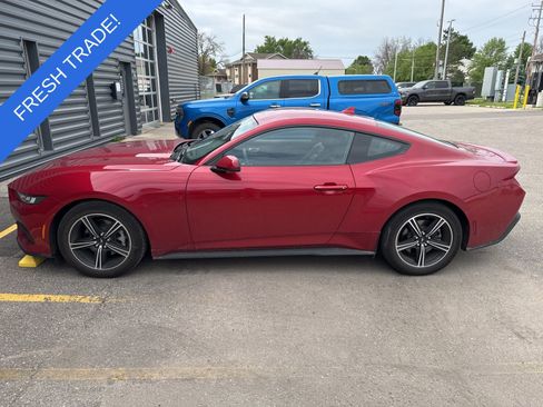 Used 2024 Ford Mustang Premium RWD image 8