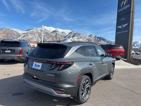 New 2026 Hyundai Tucson Limited image 5
