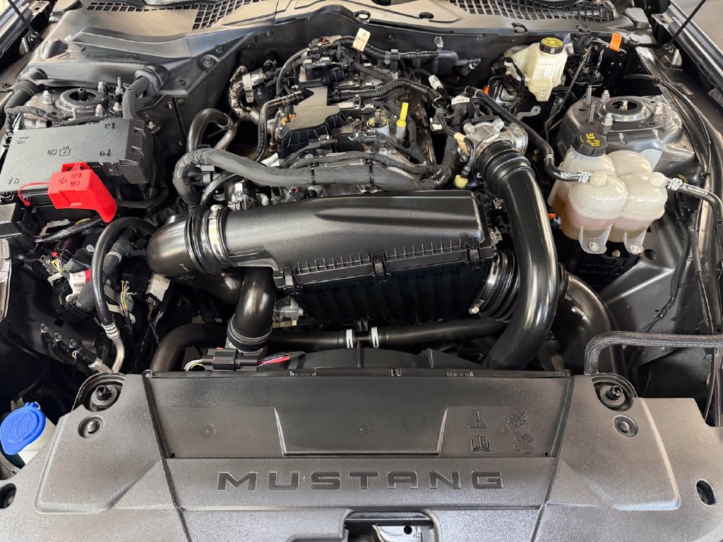 Certified 2024 Ford Mustang Premium RWD image 28