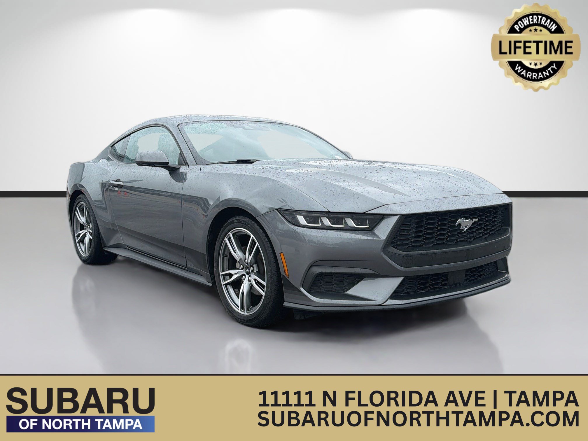 Used 2024 Ford Mustang Coupe RWD image 1