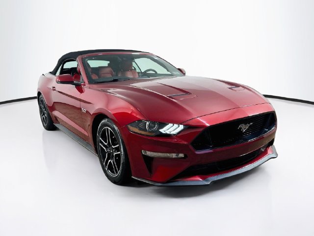 Used 2019 Ford Mustang GT Premium w/ Equipment Group 401A RWD image 1