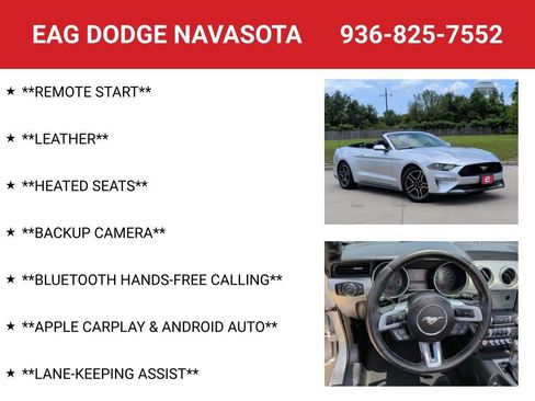 Used 2019 Ford Mustang Premium RWD image 4