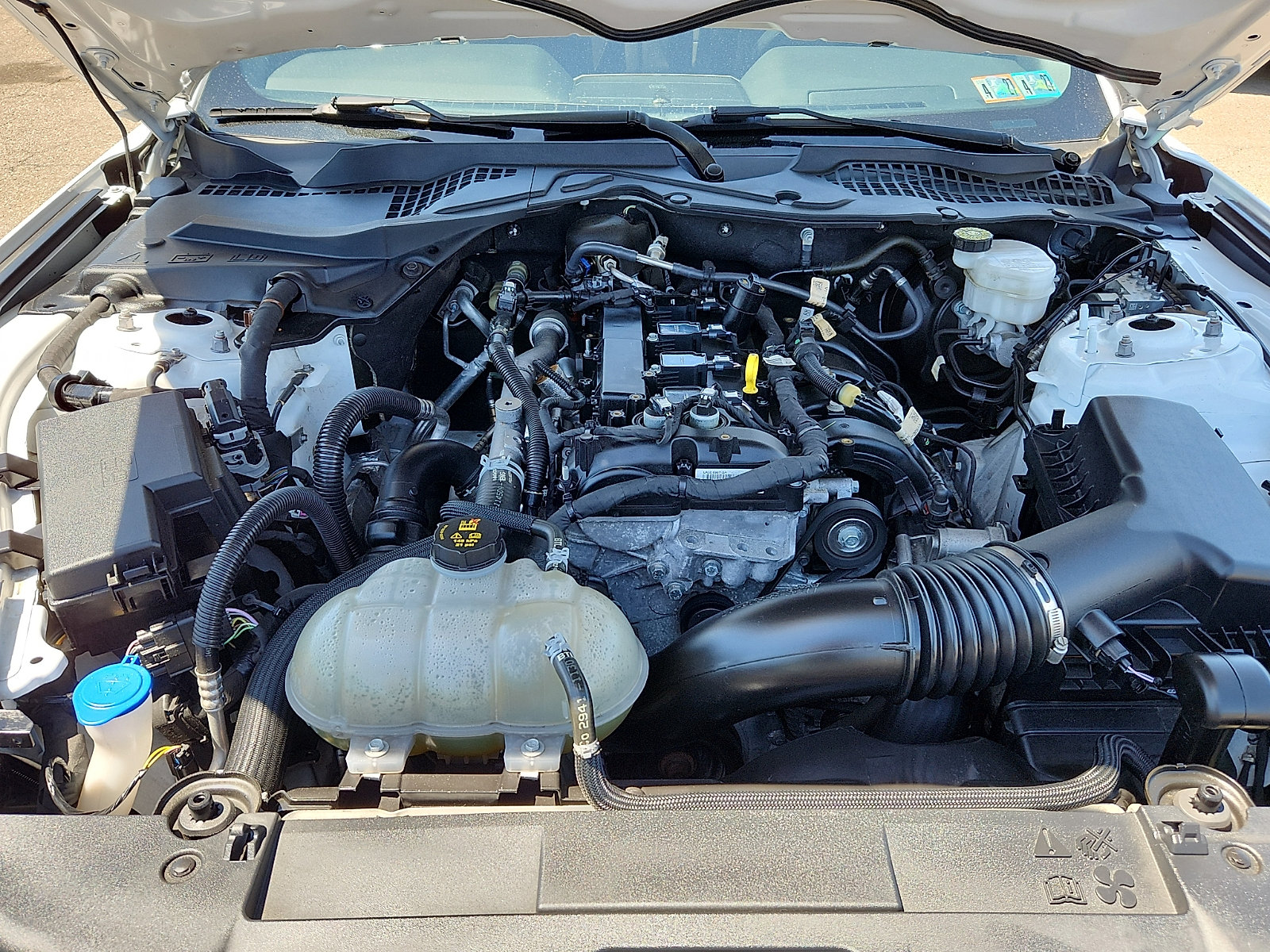 Certified 2021 Ford Mustang Coupe RWD image 26
