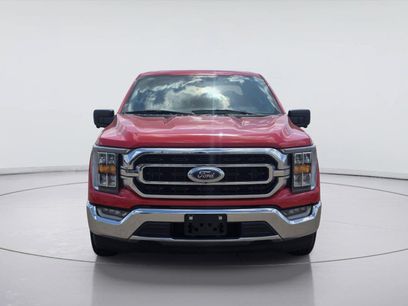Used 2023 Ford F150 XLT w/ Equipment Group 302A High