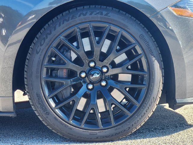 Used 2019 Ford Mustang GT Premium w/ GT Performance Package RWD image 11