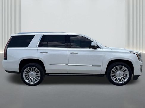 Used 2020 Cadillac Escalade Platinum RWD image 5
