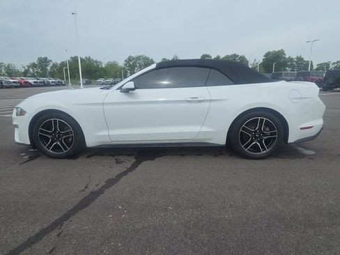 Used 2019 Ford Mustang Premium RWD image 19