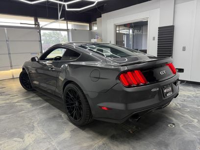 Used 2015 Ford Mustang GT Premium w/ Equipment Group 401A