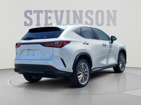 Used 2025 Lexus NX 350 AWD w/ Cold Area Package image 5