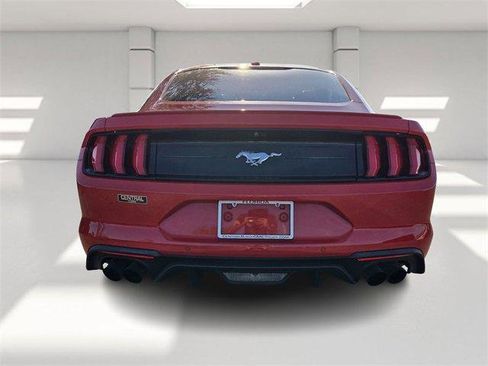 Used 2019 Ford Mustang Coupe w/ Equipment Group 101A image 4