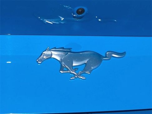 Used 2024 Ford Mustang Premium image 13