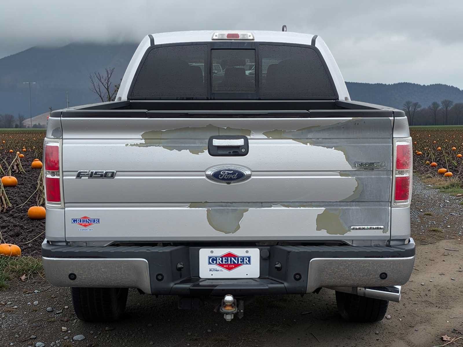 Used 2014 Ford F150 XLT w/ Equipment Group 302A Luxury AWD/4WD image 5