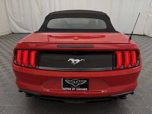 Used 2020 Ford Mustang Premium RWD image 13