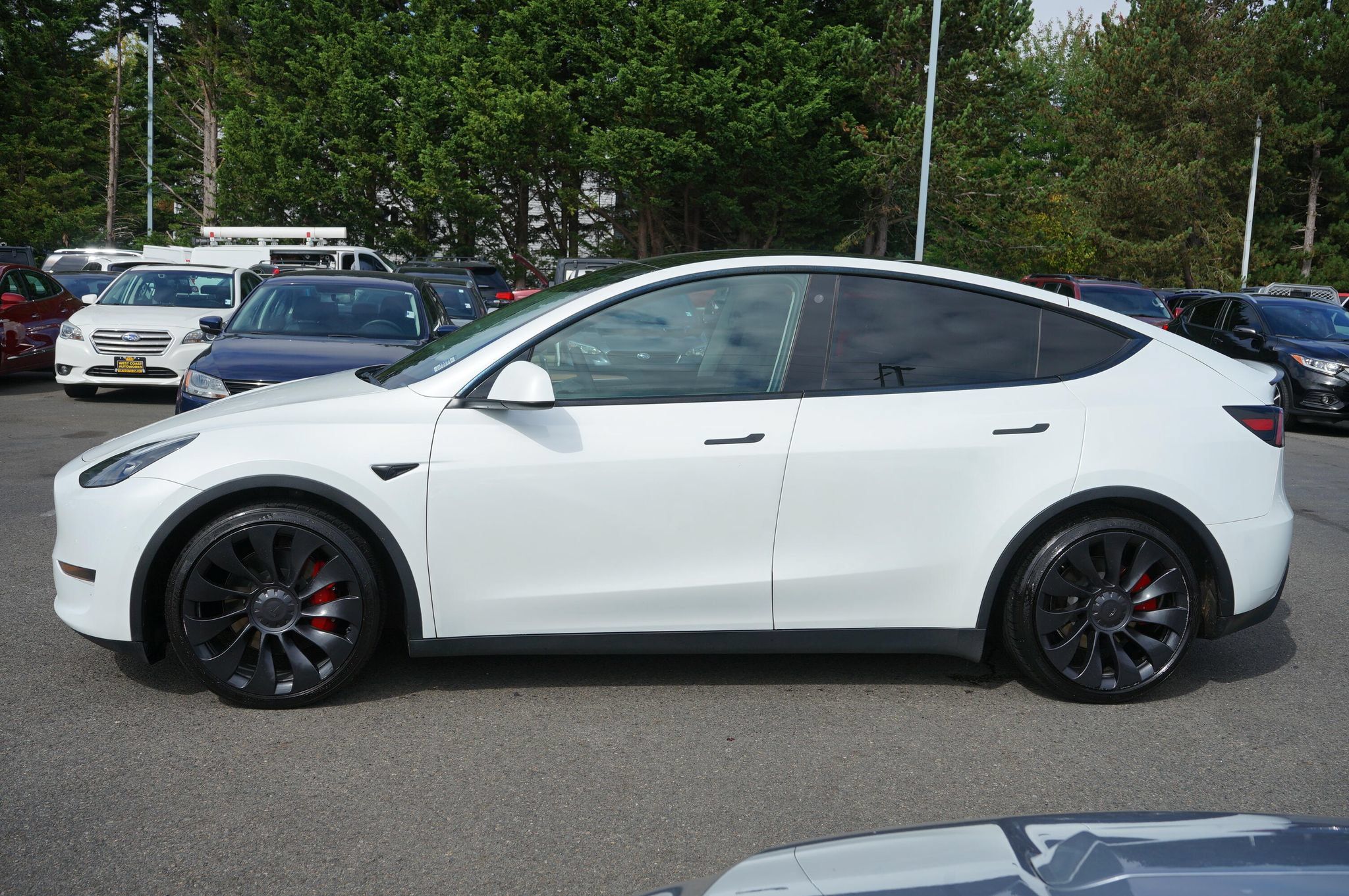 Used 2022 Tesla Model Y Performance AWD/4WD image 2
