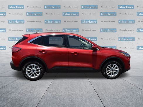 Used 2020 Ford Escape SE AWD/4WD image 4