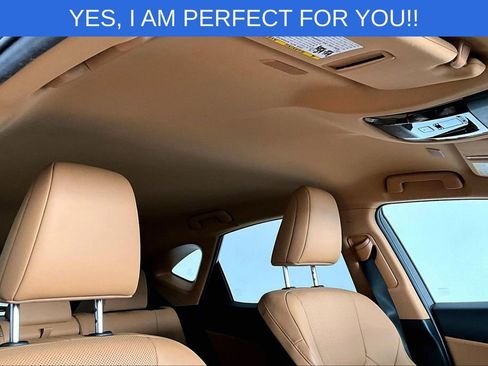 Used 2023 Lexus NX 350h AWD image 23