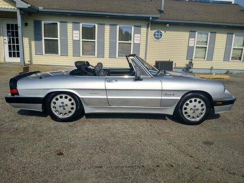 Used 1988 Alfa Romeo Spider Quadrifoglio image 4