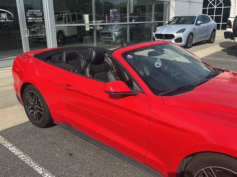 Used 2019 Ford Mustang Premium RWD image 14