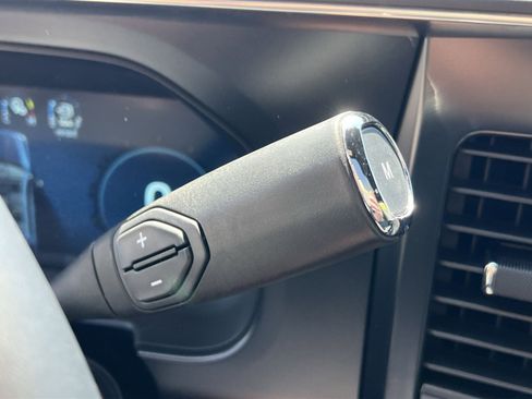 New 2026 Ford F250 Platinum w/ Tremor Off-Road Package image 22