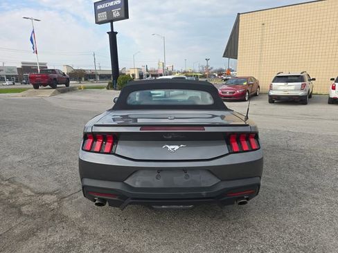 Used 2024 Ford Mustang Premium RWD image 6