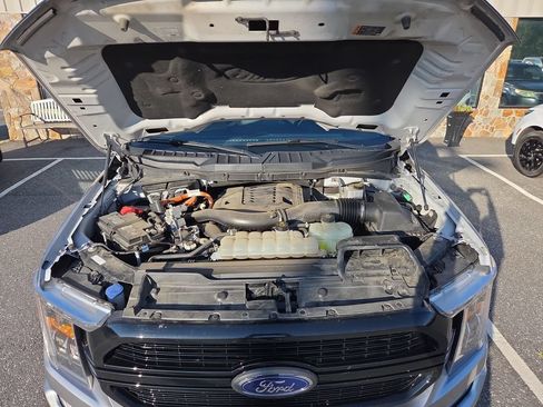 Used 2023 Ford F150 XLT w/ Equipment Group 302A High AWD/4WD image 21