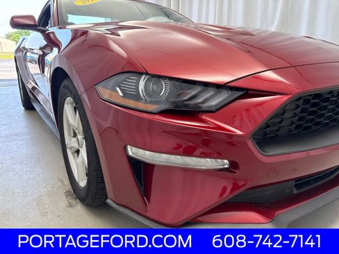 Used 2019 Ford Mustang Coupe RWD image 31