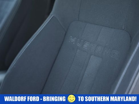 Used 2021 Ford Mustang Coupe w/ Equipment Group 101A image 37