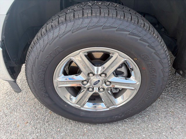 Used 2025 Ford F150 XLT w/ Equipment Group 301A Standard AWD/4WD image 10