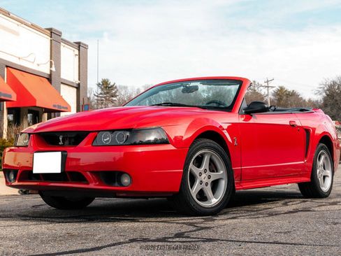 Used 1999 Ford Mustang Cobra RWD image 14