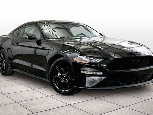 Used 2019 Ford Mustang Coupe w/ Black Accent Package image 2