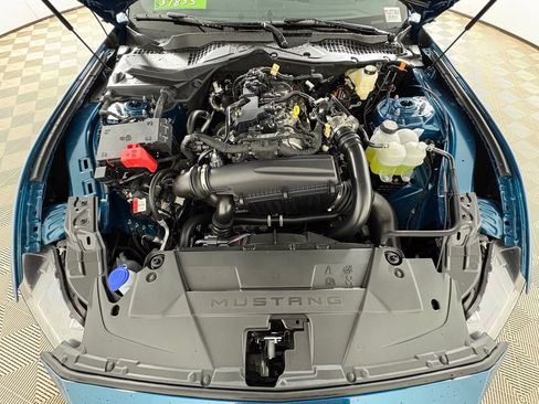 New 2026 Ford Mustang Premium w/ Mustang Nite Pony Package RWD image 30