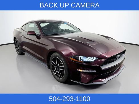 Used 2018 Ford Mustang Premium RWD image 4