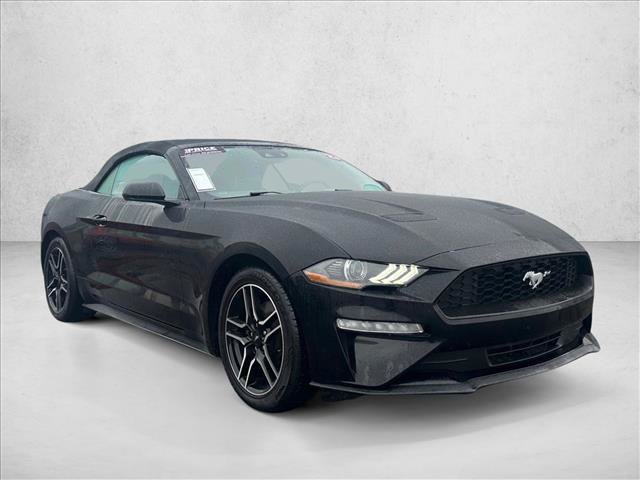 Used 2023 Ford Mustang Premium RWD image 3
