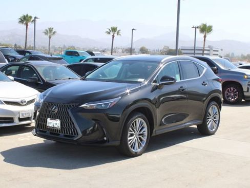 Certified 2025 Lexus NX 350h AWD w/ Cold Area Package image 3