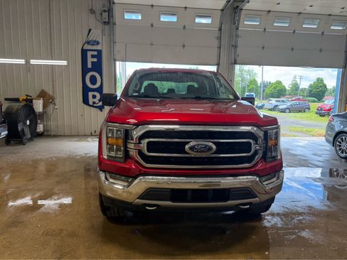 Used 2021 Ford F150 XLT w/ Equipment Group 302A High AWD/4WD image 3