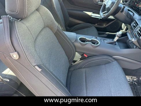 New 2026 Ford Mustang Coupe w/ Mustang Nite Pony Package image 13