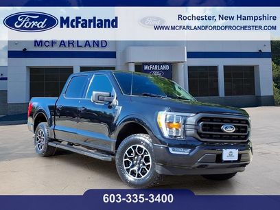 Certified 2023 Ford F150 XLT w/ Equipment Group 302A High