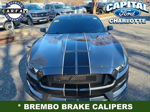 Used 2017 Ford Mustang Shelby GT350 image 8